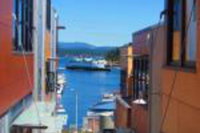 Island Inn at 123 West