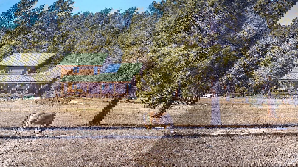 Elktrace Bed & Breakfast - thumb 4