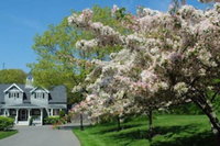 Cape Arundel Inn - Club House