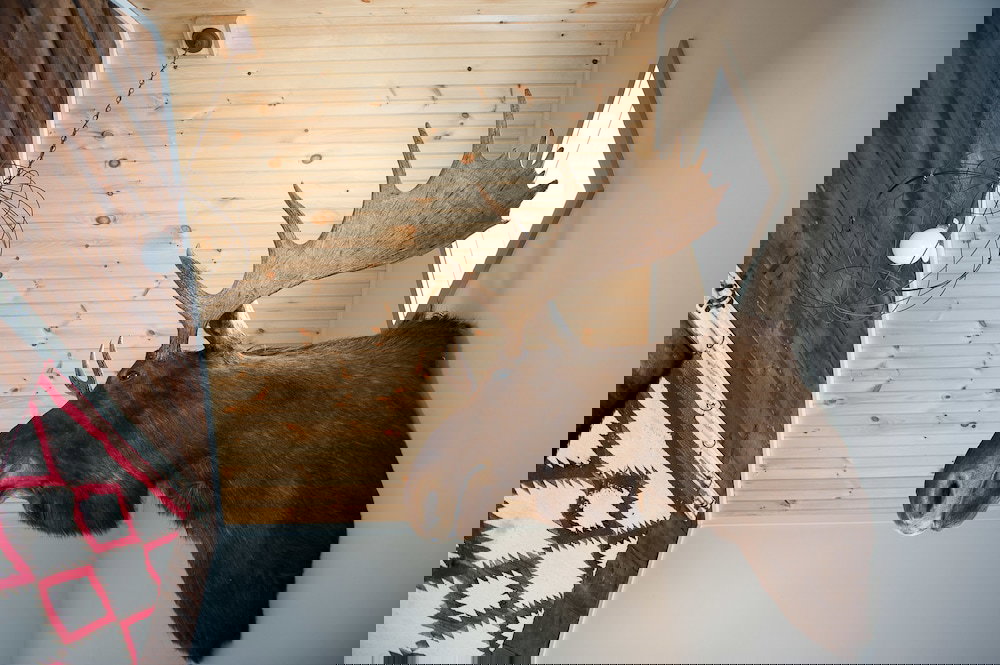 Mad River Barn - thumb 5