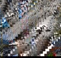 Silver Maple Inn and The Cain House - Accommodation Michigan