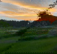 Otters Pond Bed  Breakfast - Accommodation Michigan