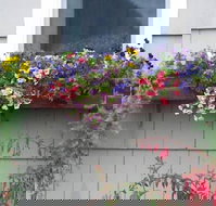 The Anchorage Cottages - Accommodation Michigan