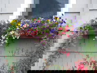 The Anchorage Cottages