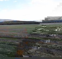 The Viking Lodge - Downtown Winter Park Colorado - Accommodation Michigan