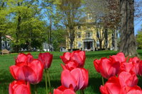 Captain Lord Mansion