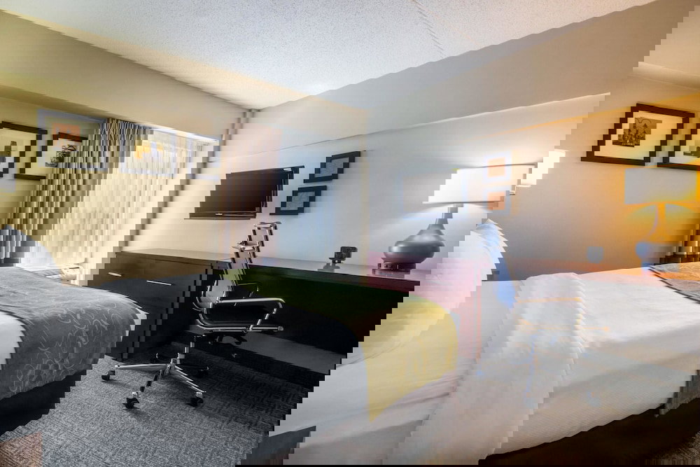 Comfort Suites At Woodbridge - thumb 6