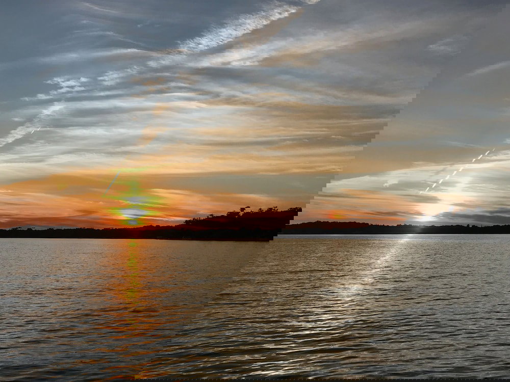 Torch Lake Bed & Breakfast - thumb 3