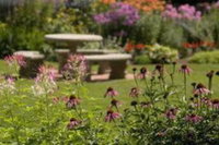 Cornerstone Victorian BB