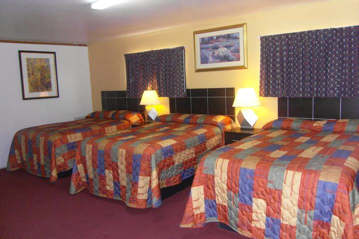 Flamingo Inn - thumb 7