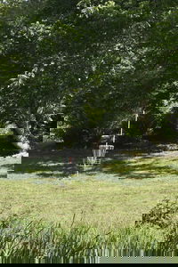 Book Cities Accommodation Vacations, Accommodation Michigan Accommodation Michigan