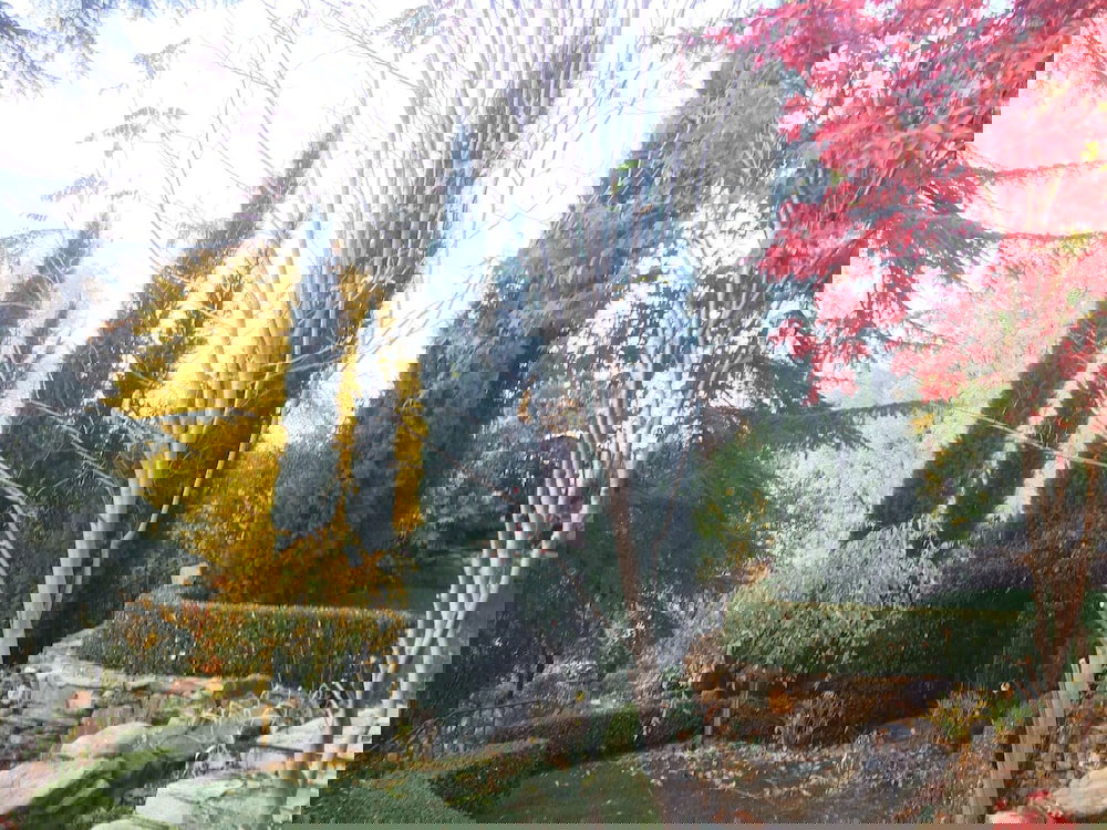 Barretta Gardens Inn - thumb 3