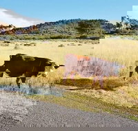 Arrowhead Country Inn and Cabins - Accommodation Michigan