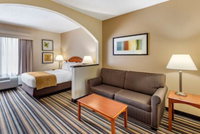 Comfort Suites Chesapeake - Norfolk