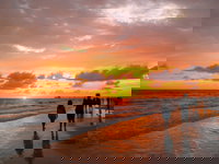 DoubleTree Beach Resort by Hilton Tampa Bay - North Redingto