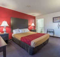 Econo Lodge Ruther Glen - Accommodation Michigan