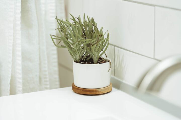 The Belmont Shore Inn - thumb 5