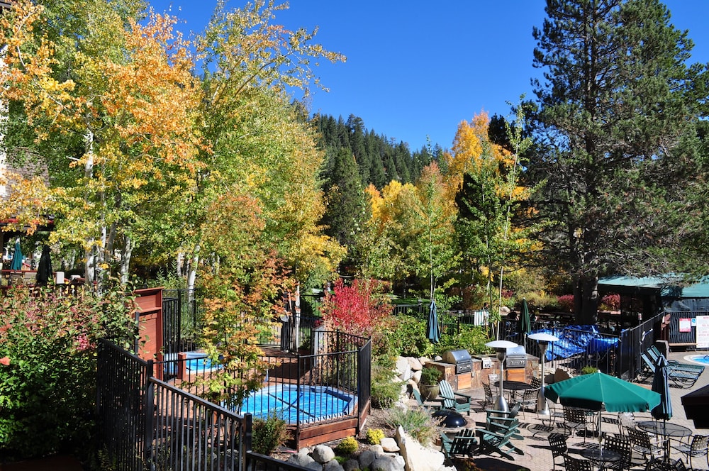 Olympic Village Inn - thumb 5