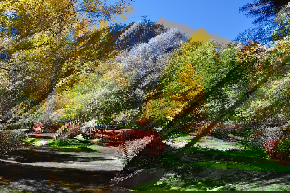 Olympic Village Inn - thumb 3