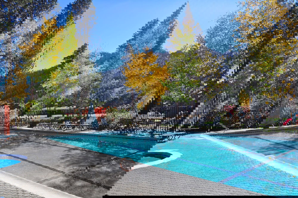 Olympic Village Inn - thumb 6