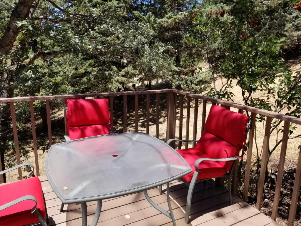 Time Traveler Retreat - thumb 6