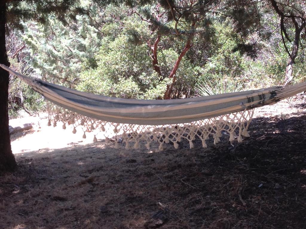 Time Traveler Retreat - thumb 3