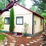 Time Traveler Retreat - thumb 1