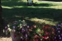 Book Cities Accommodation Vacations, Accommodation Michigan Accommodation Michigan