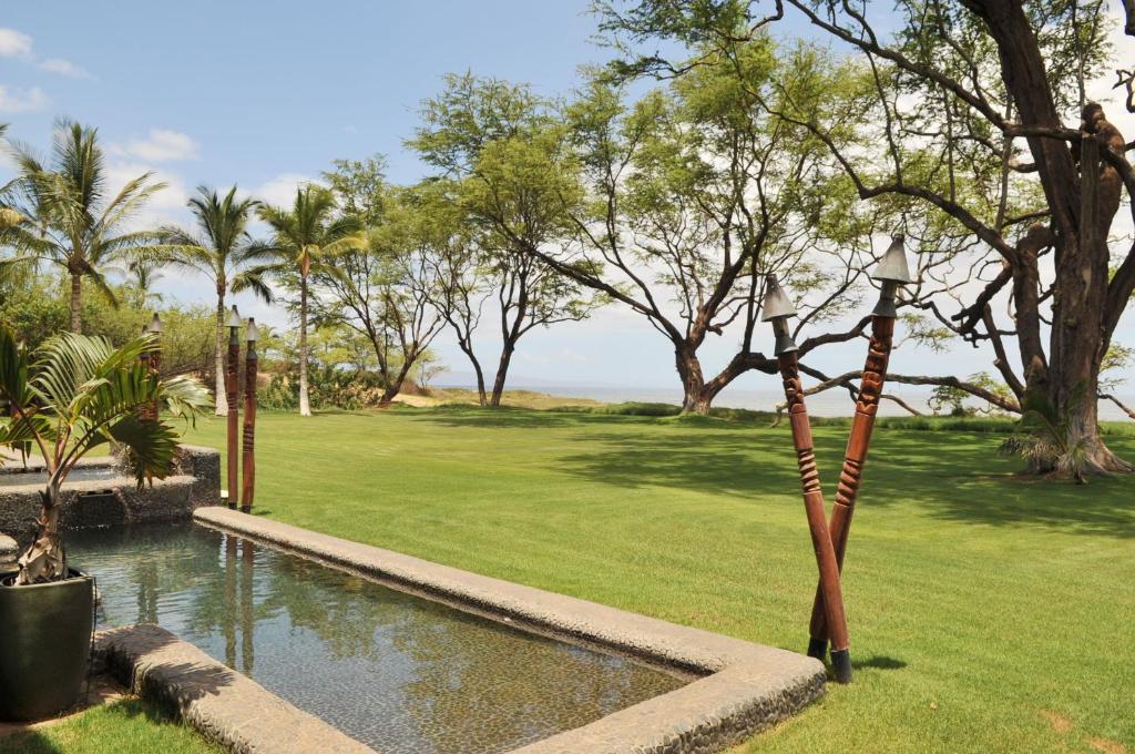 Aloha AKU Honu 1 - thumb 2