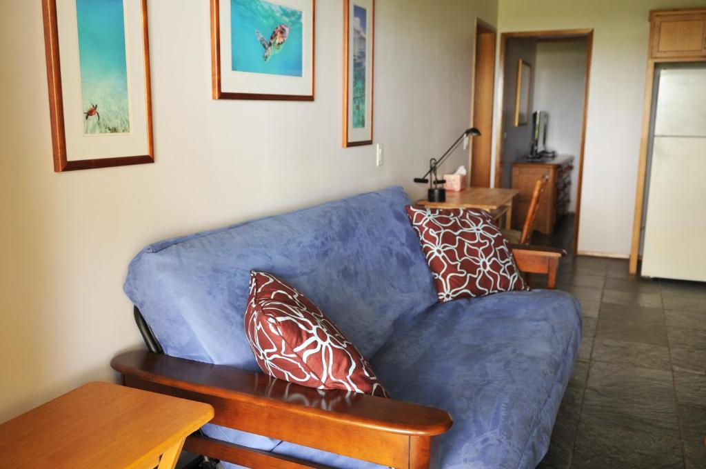 Aloha AKU Honu 1 - thumb 6