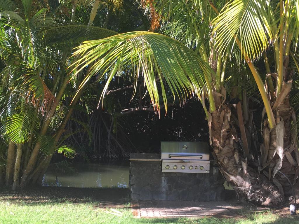 Aloha AKU Honu 1 - thumb 5