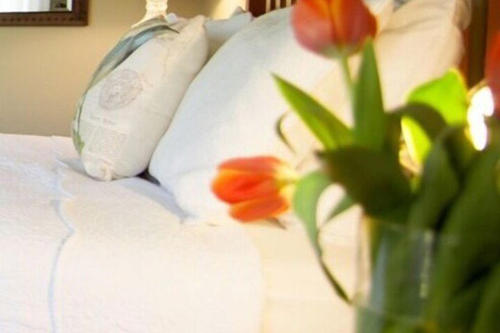 Julian Lodge - thumb 6