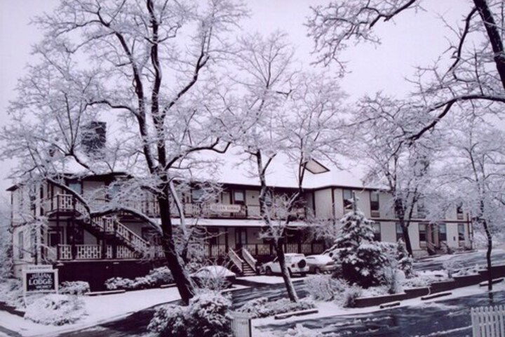 Julian Lodge - thumb 0