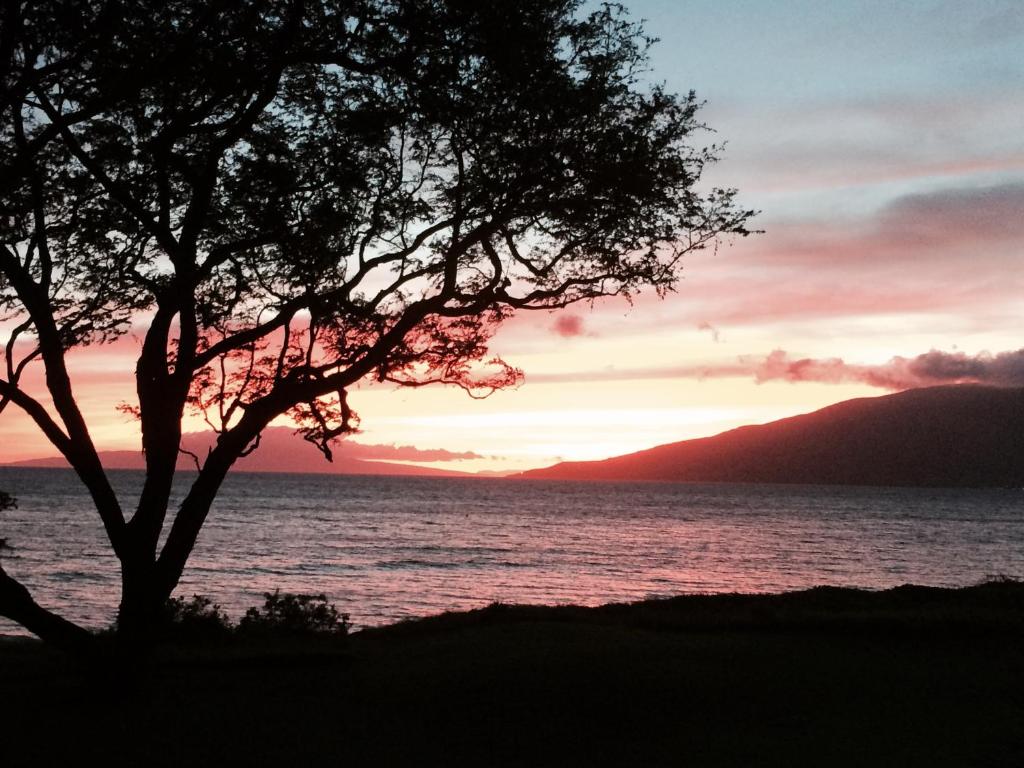 Aloha AKU Hula 2 - thumb 2