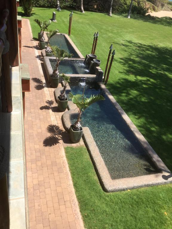 Aloha AKU Bamboo 1 - thumb 6