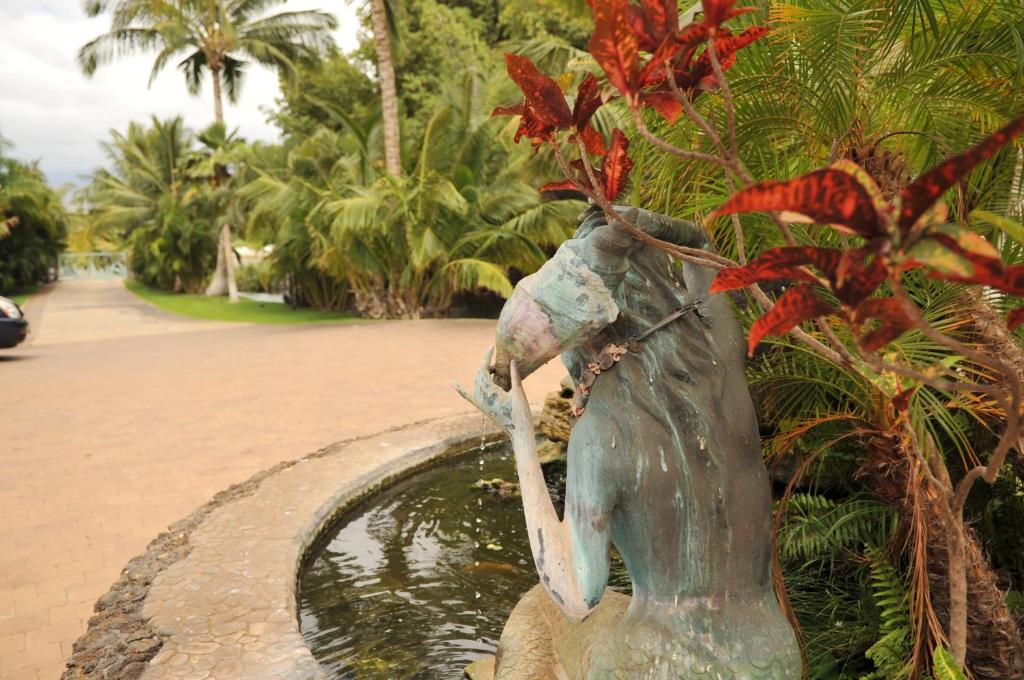 Aloha AKU Bamboo 1 - thumb 7