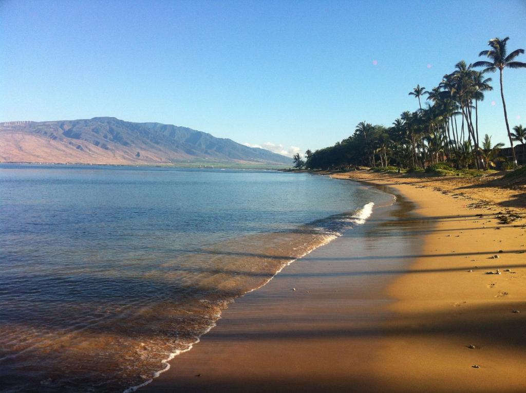 Aloha AKU Bamboo 1 - thumb 4