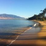 Aloha AKU Bamboo 1 - thumb 1