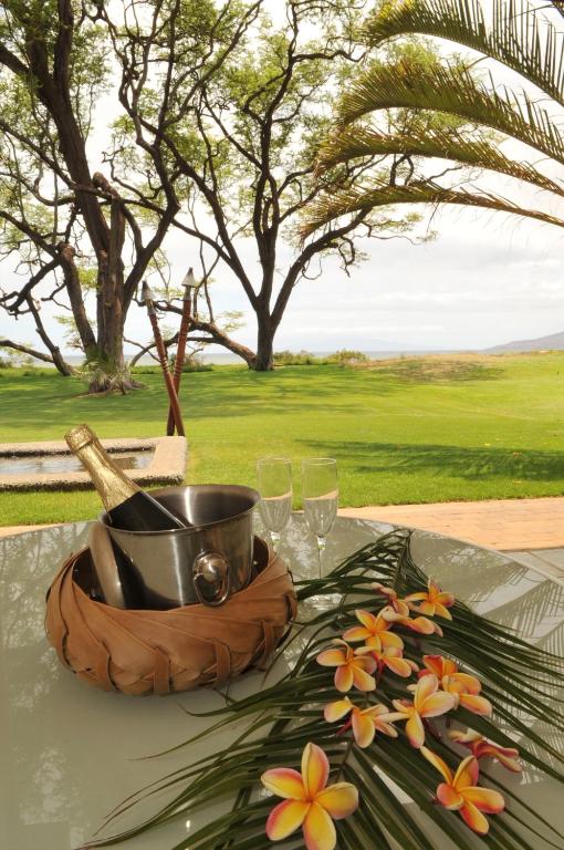 Aloha AKU CoCoPalm 2 - thumb 7