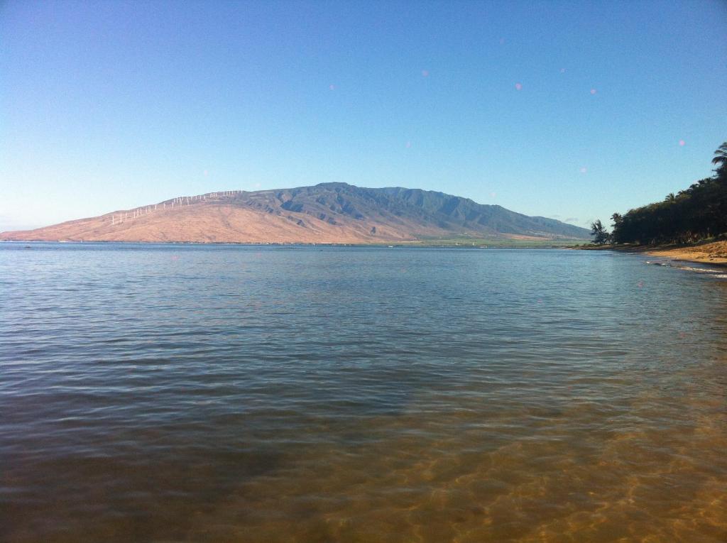 Aloha AKU CoCoPalm 2 - thumb 6