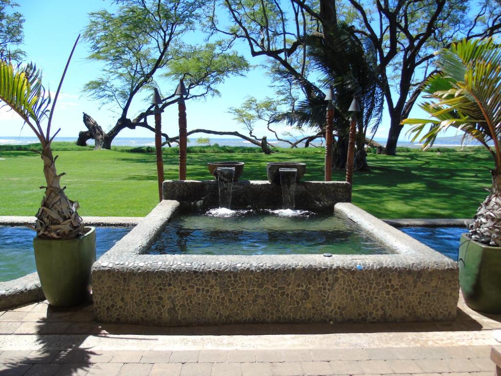 Aloha AKU CoCoPalm 1 - thumb 3