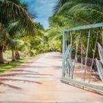 Aloha AKU CoCoPalm 1 - thumb 1