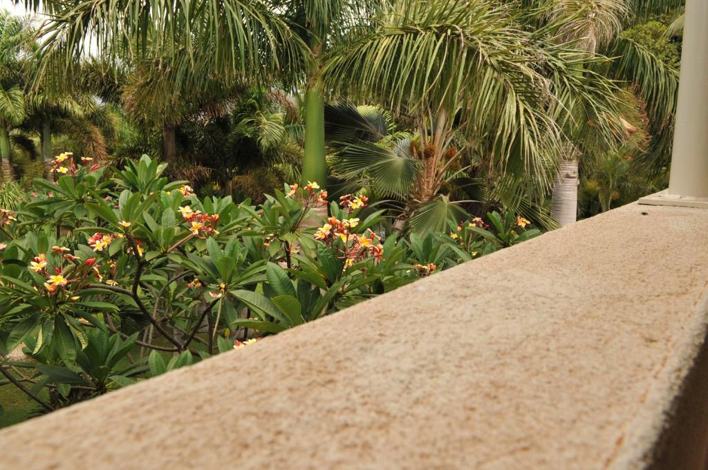 Aloha AKU Ohana 2 - thumb 5