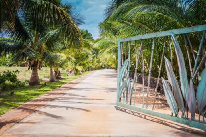 Aloha AKU Ohana 2 - thumb 0