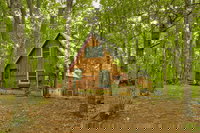 Triple Treat- Rustic Cabin Near Blue Ridge