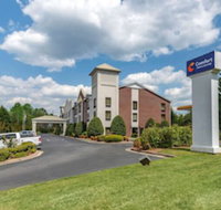 Comfort Inn  Suites - Accommodation Michigan