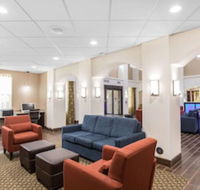 Comfort Inn  Suites - Accommodation Michigan