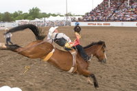 Holiday Inn Express  Suites - North Platte an IHG Hotel