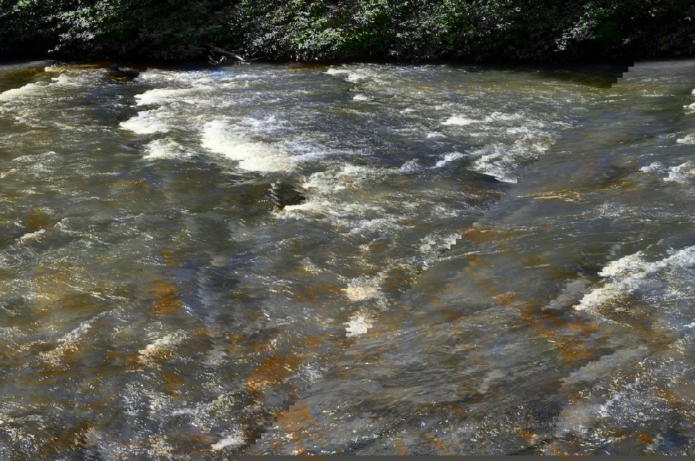 Trinity Waters - thumb 3