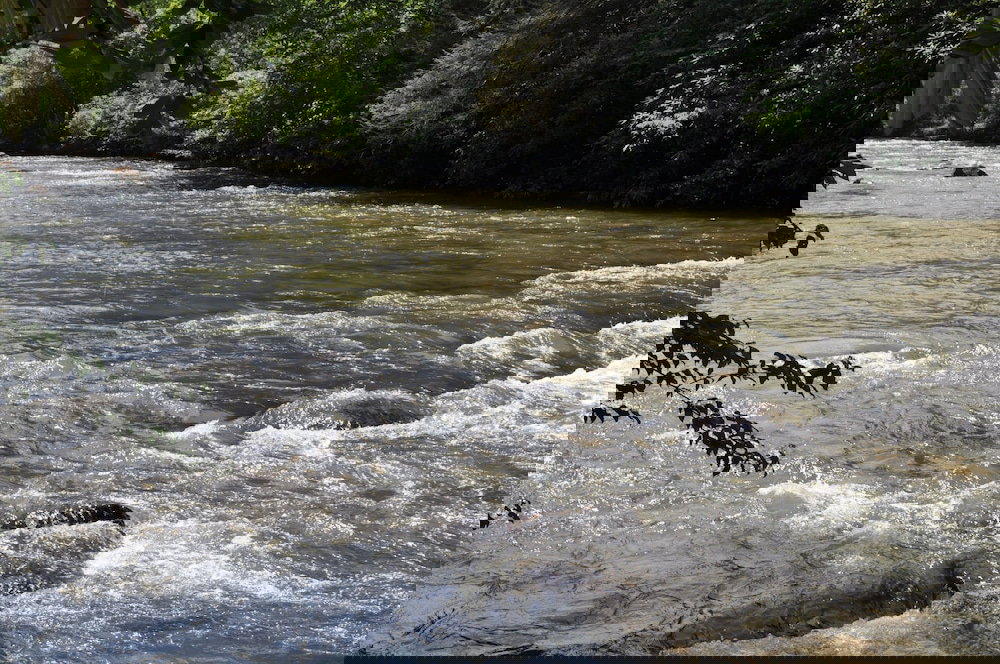 Trinity Waters - thumb 2